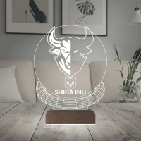 Crypto Shiba Inu Coin Kripto Finans 3D Lamba - Masa Gece Lambası