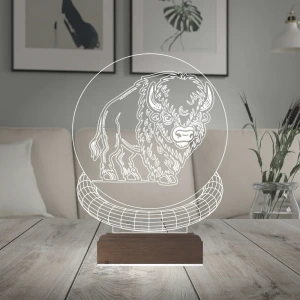 Bizon Tasarım 3D Lamba - Masa Gece Lambası